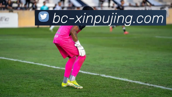 澳门新葡京娱乐APP 高清赛事图